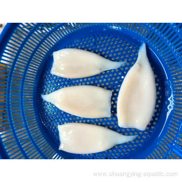 Frozen Pacific Squid Tube U10 Iqf For Importer